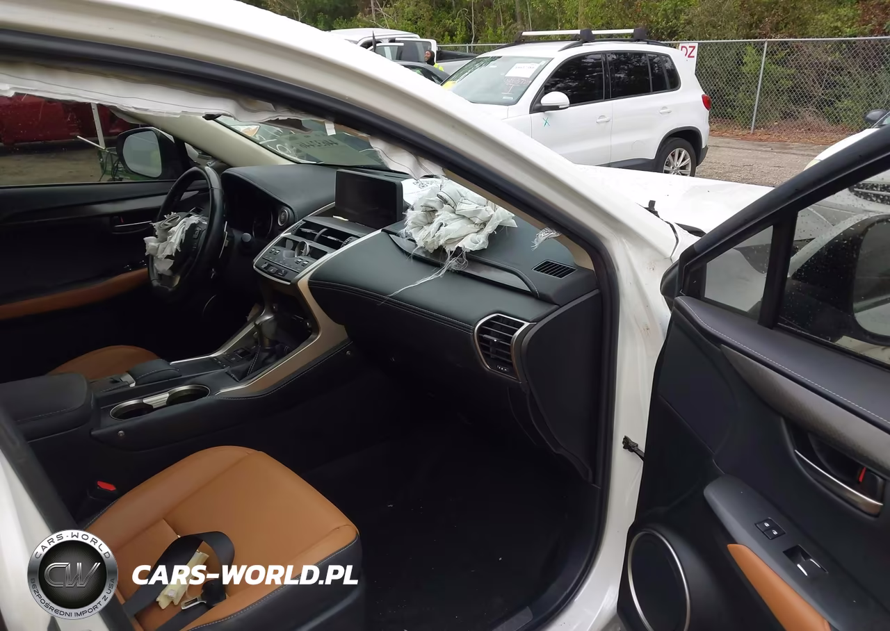 2020 Lexus Nx 300 VIN:JTJAARBZ4L2173236 - 5