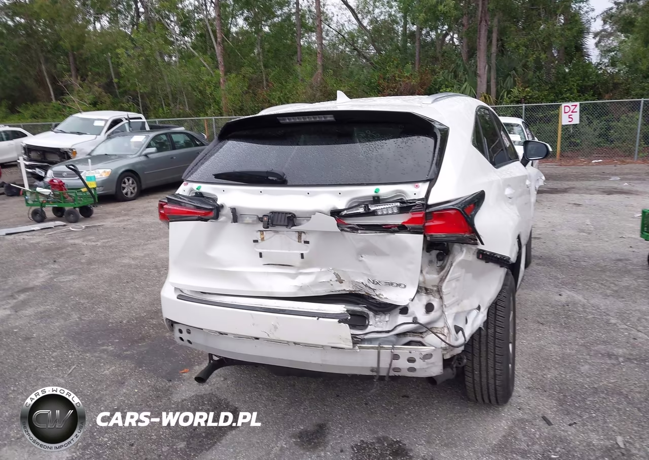 2020 Lexus Nx 300 VIN:JTJAARBZ4L2173236 - 6