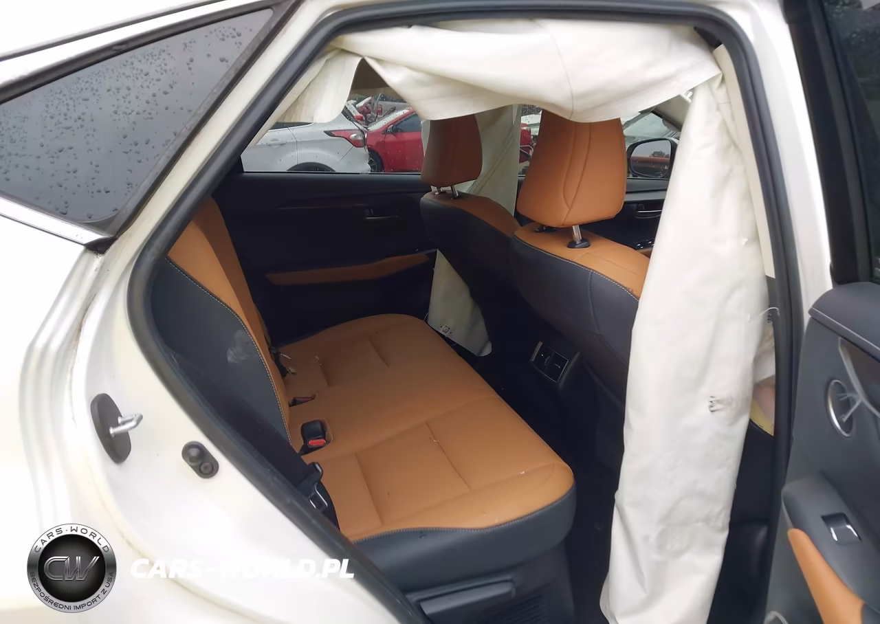 2020 Lexus Nx 300 VIN:JTJAARBZ4L2173236 - 8