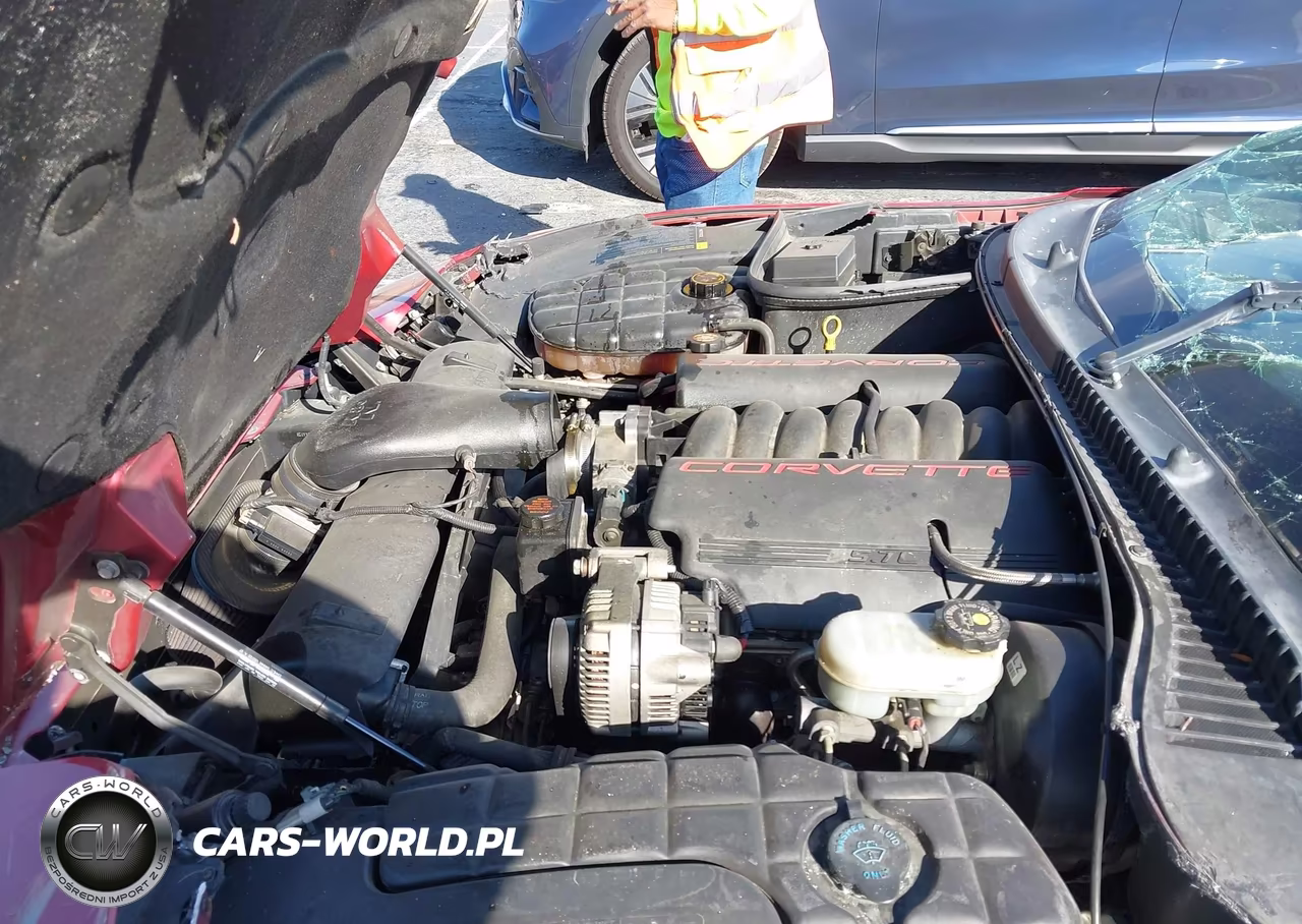 1999 Chevrolet Corvette VIN:1G1YY22G2X5110040 - 10