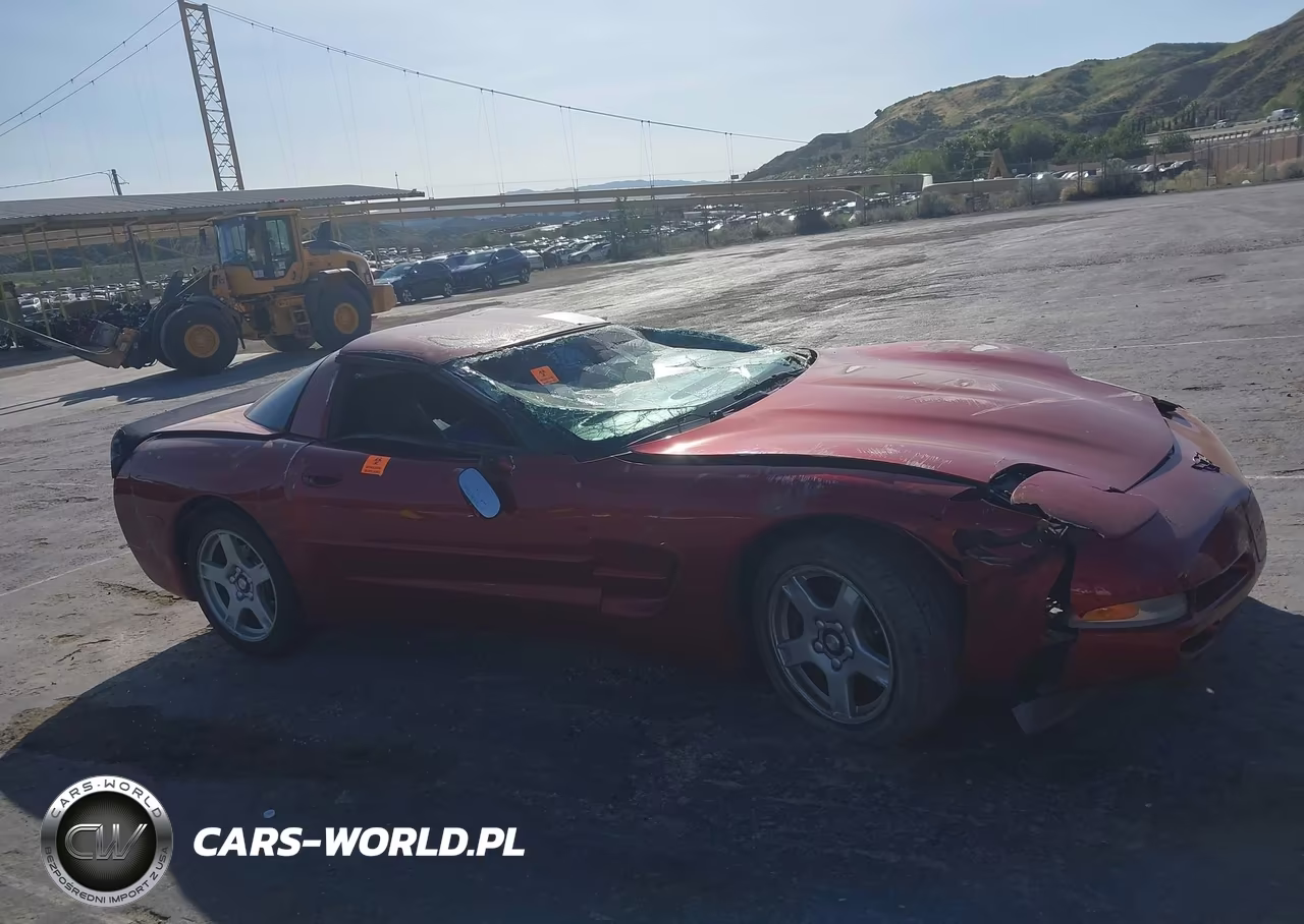 1999 Chevrolet Corvette VIN:1G1YY22G2X5110040 - 12