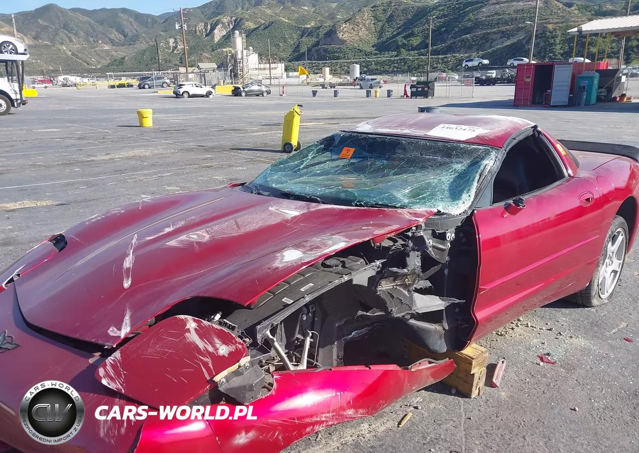 1999 Chevrolet Corvette VIN:1G1YY22G2X5110040 - 6