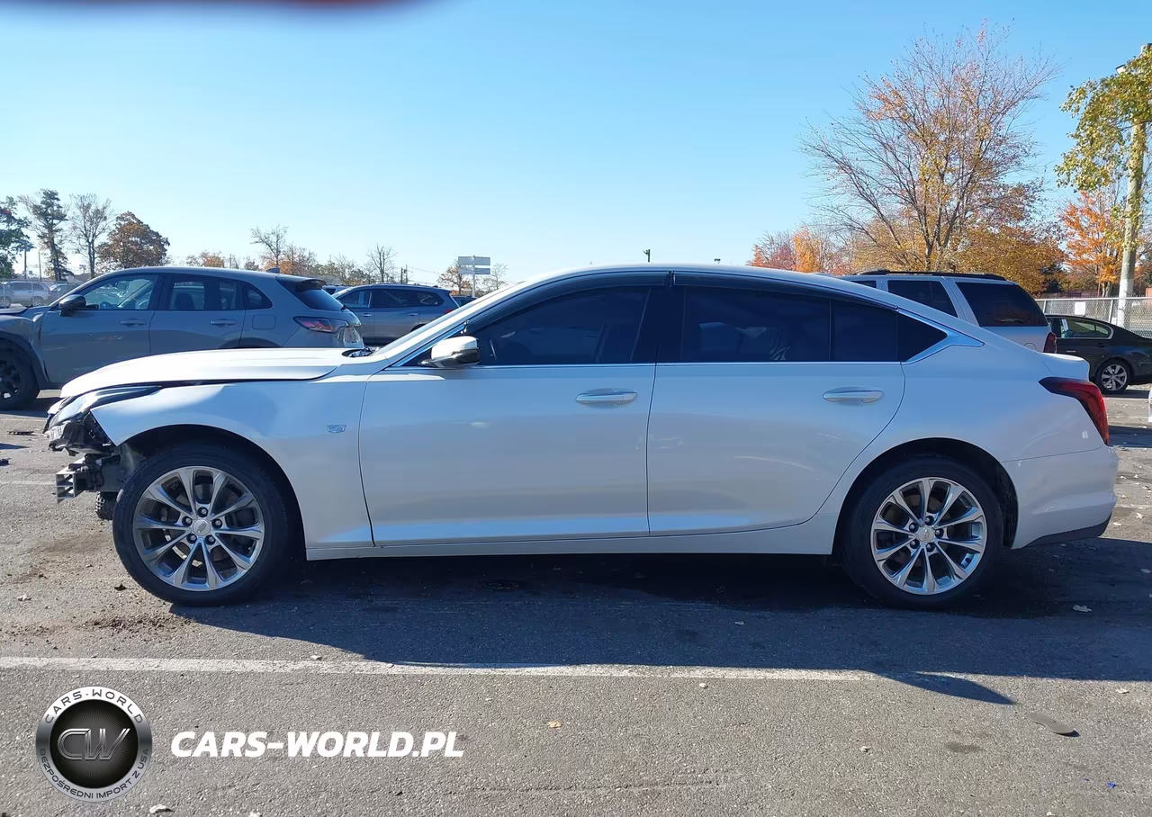 2022 Cadillac Ct5 Premium Luxury VIN:1G6DT5RK3N0108407 - 14