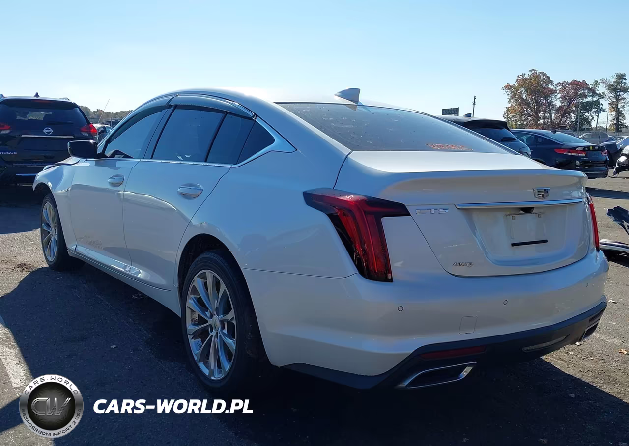 2022 Cadillac Ct5 Premium Luxury VIN:1G6DT5RK3N0108407 - 3