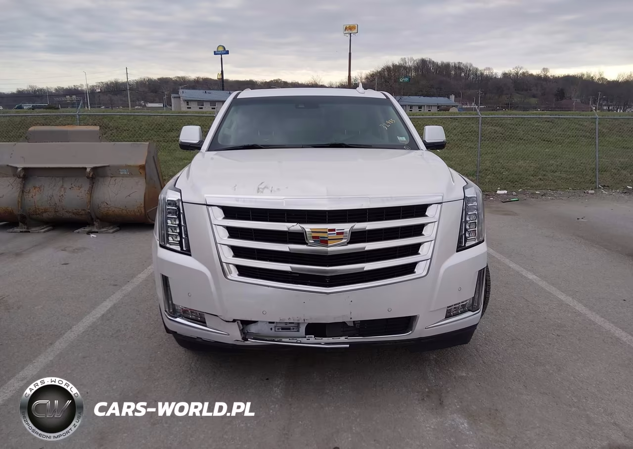 2018 Cadillac Escalade Esv Premium Luxury VIN:1GYS4JKJ7JR281813 - 12