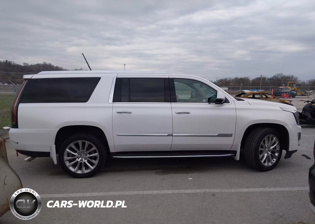 2018 Cadillac Escalade Esv Premium Luxury VIN:1GYS4JKJ7JR281813 - 13