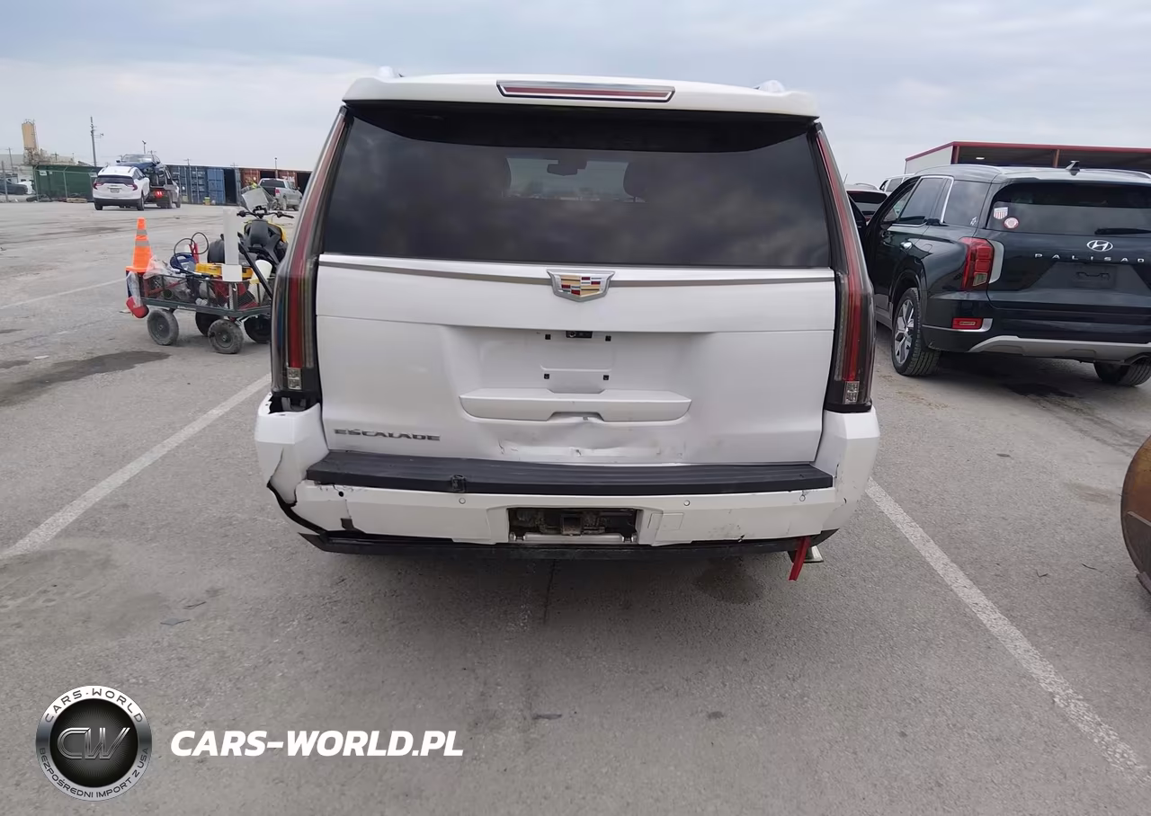 2018 Cadillac Escalade Esv Premium Luxury VIN:1GYS4JKJ7JR281813 - 16