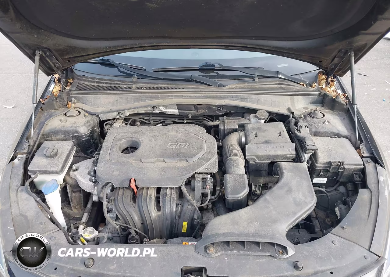 2019 Kia Optima Lx VIN:5XXGT4L39KG300494 - 10