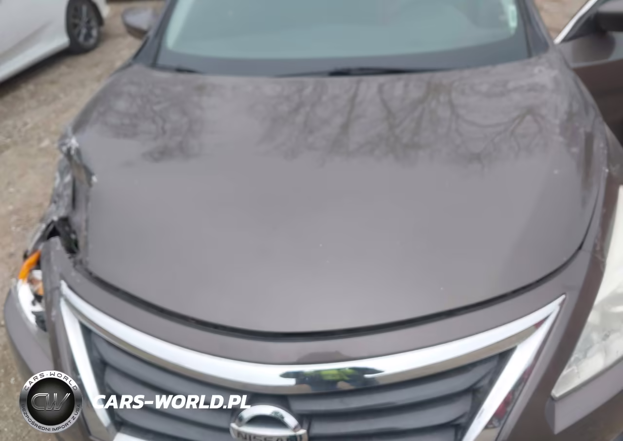 2014 Nissan Altima 2.5 VIN:1N4AL3APXEC280675 - 10