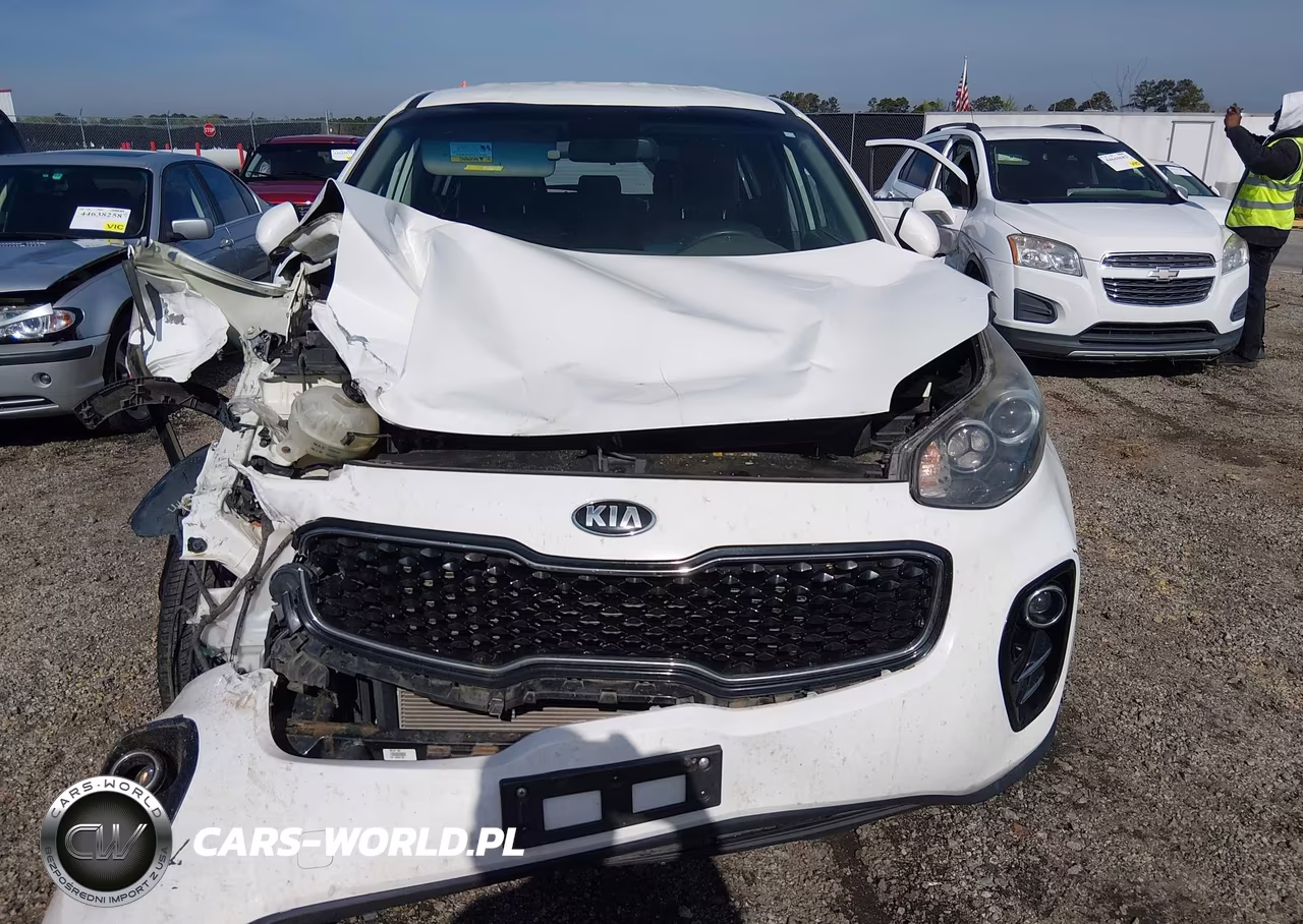 2017 Kia Sportage Lx VIN:KNDPMCAC7H7110303 - 12