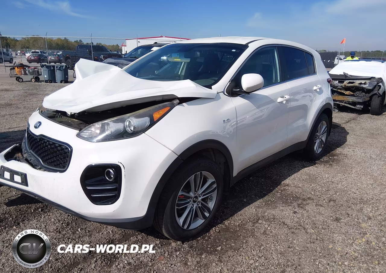 2017 Kia Sportage Lx VIN:KNDPMCAC7H7110303 - 2