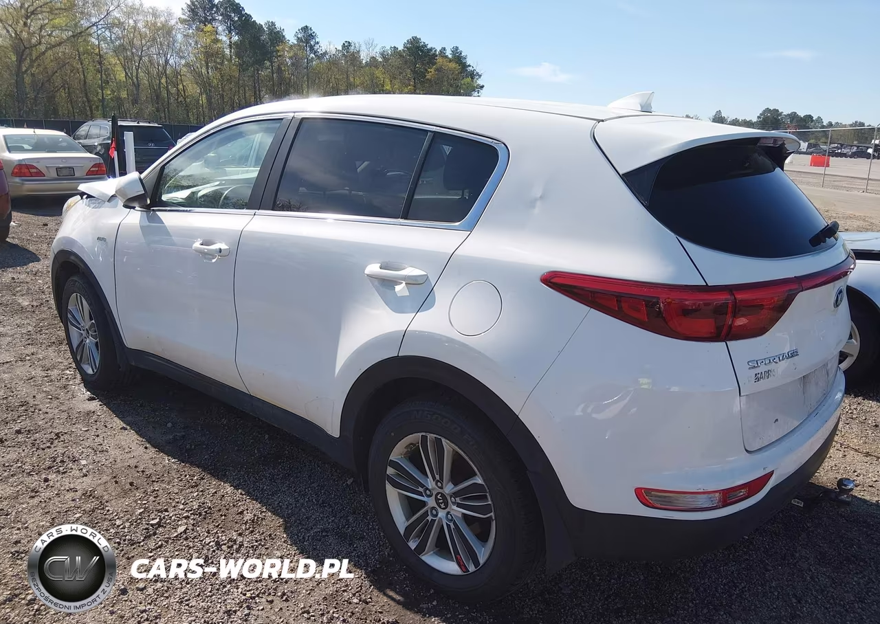 2017 Kia Sportage Lx VIN:KNDPMCAC7H7110303 - 3