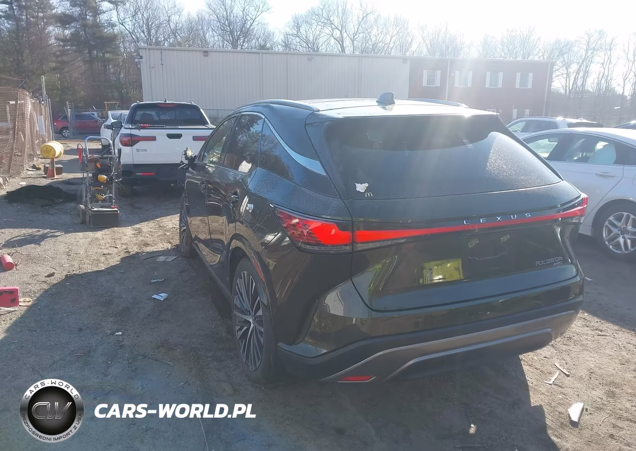 2023 Lexus Rx 350H Premium Plus VIN:2T2BBMCA5PC011490 - 3