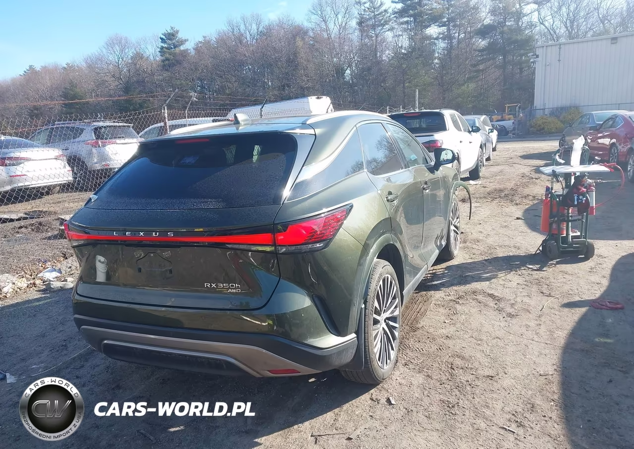 2023 Lexus Rx 350H Premium Plus VIN:2T2BBMCA5PC011490 - 4