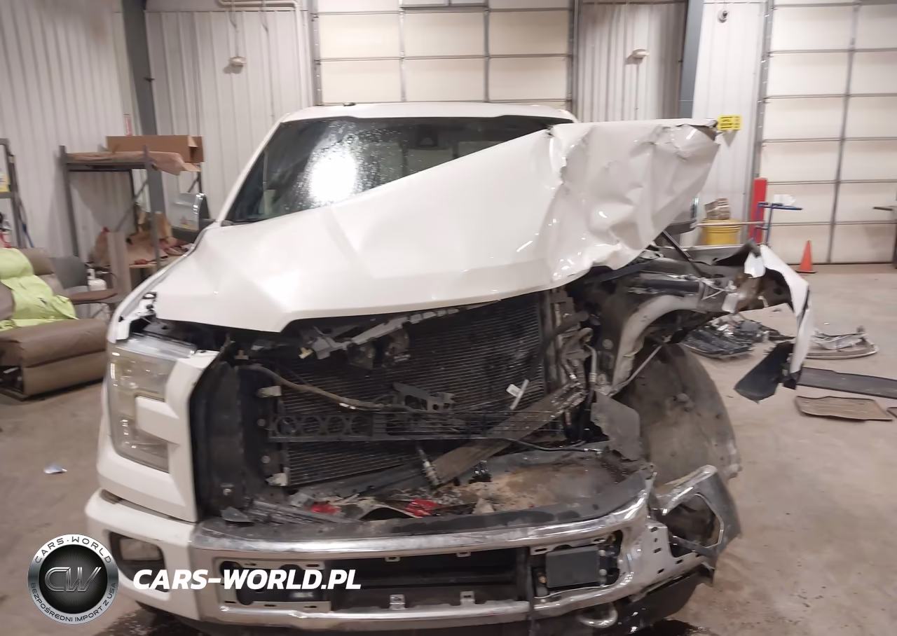2015 Ford F-150 Platinum VIN:1FTEW1EG1FFC53754 - 13