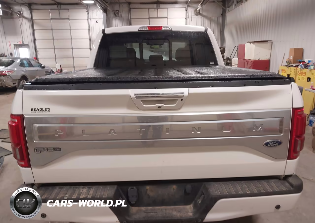 2015 Ford F-150 Platinum VIN:1FTEW1EG1FFC53754 - 17