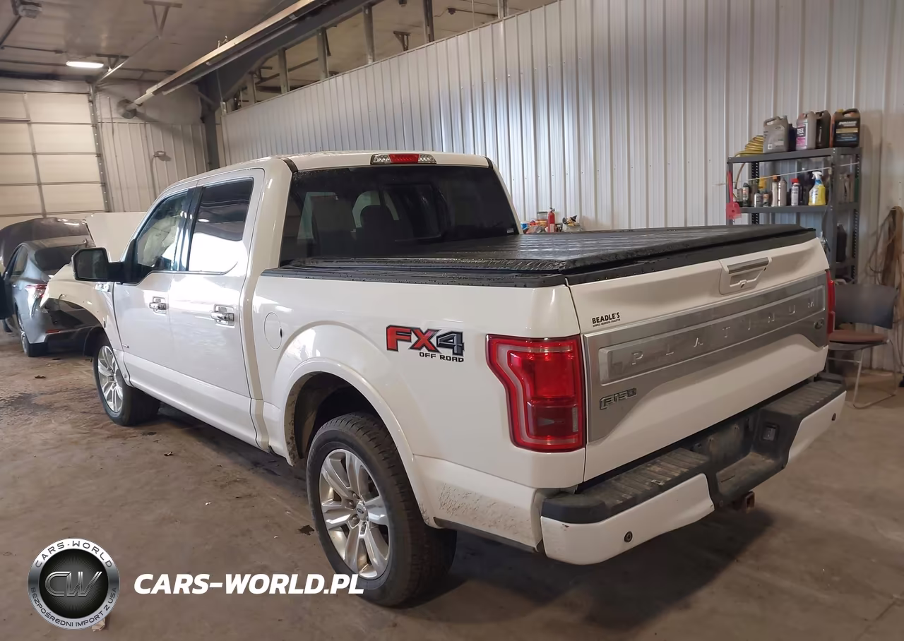 2015 Ford F-150 Platinum VIN:1FTEW1EG1FFC53754 - 3