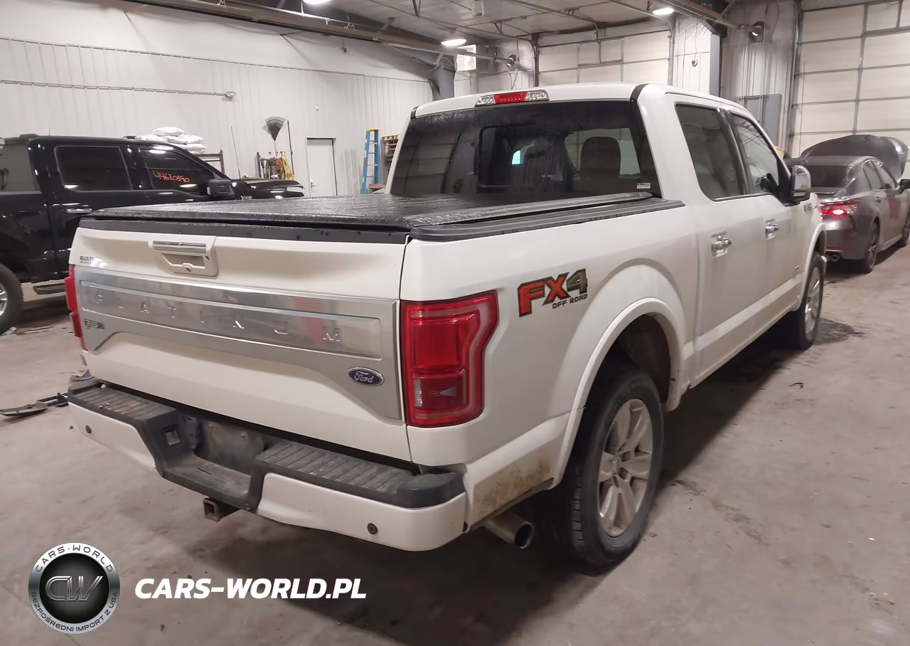 2015 Ford F-150 Platinum VIN:1FTEW1EG1FFC53754 - 4