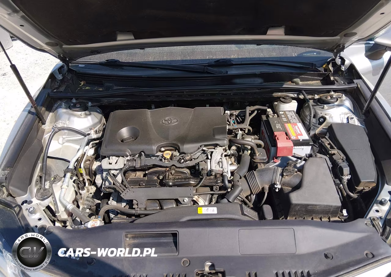 2019 Toyota Camry Le VIN:4T1B11HK8KU241202 - 10