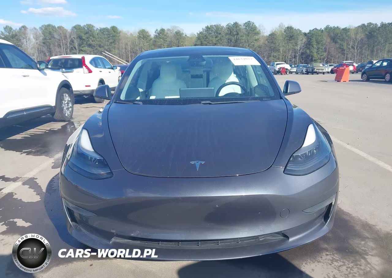 2021 Tesla Model 3 Standard Range Plus Rear-Wheel Drive VIN:5YJ3E1EA3MF908407 - 12