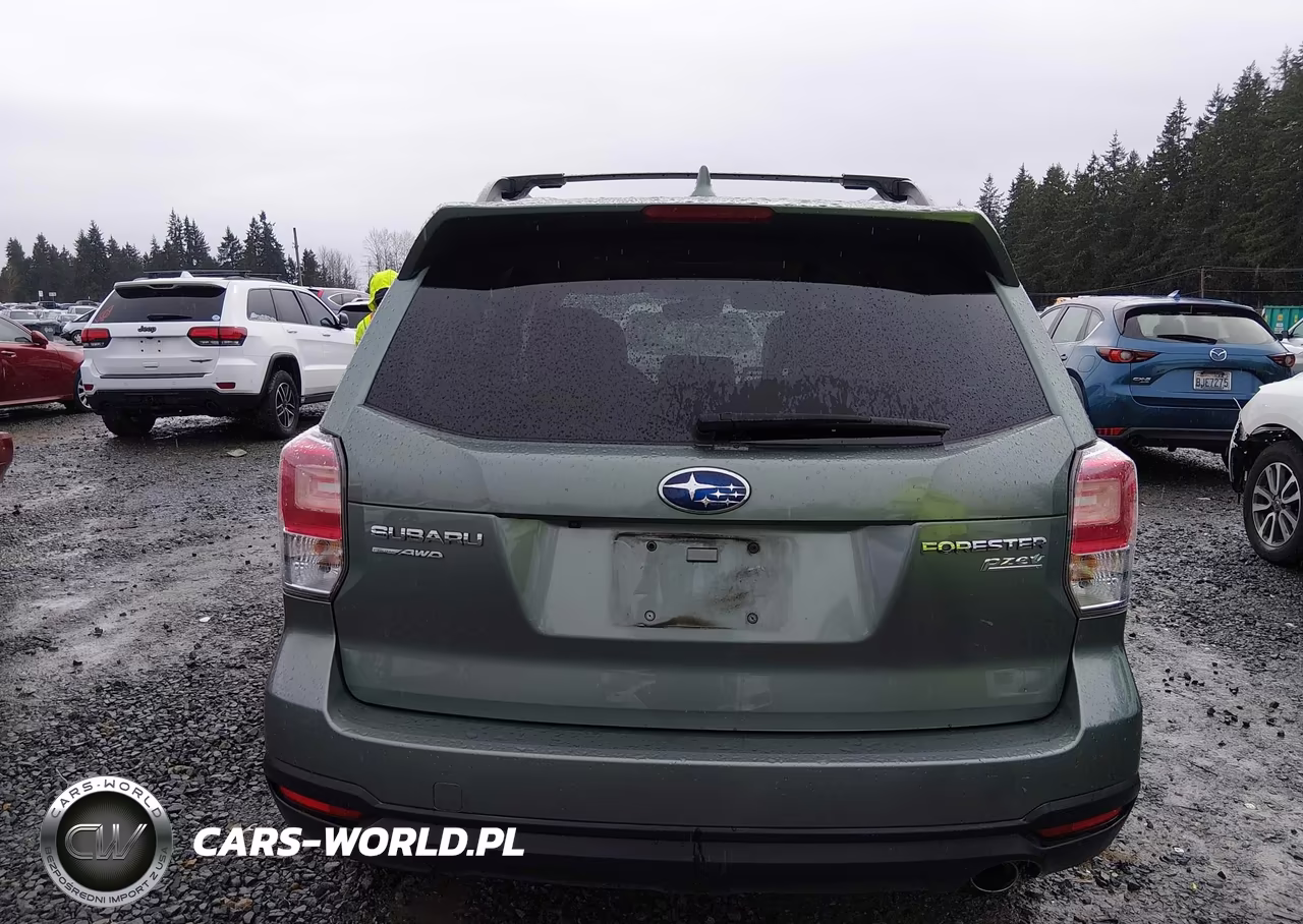 2017 Subaru Forester 2.5I Limited VIN:JF2SJAJC5HH493726 - 16