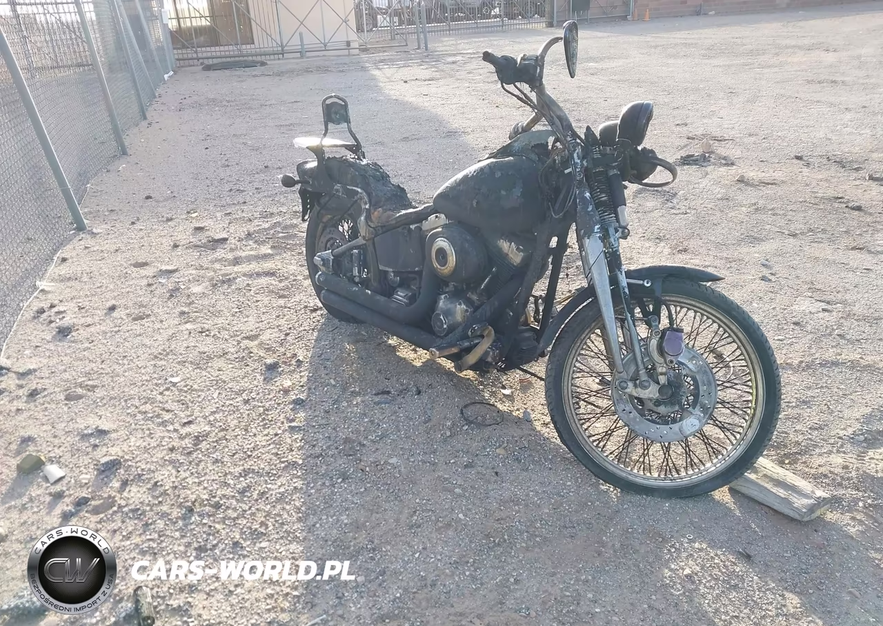 2003 Harley-Davidson Fxsts
