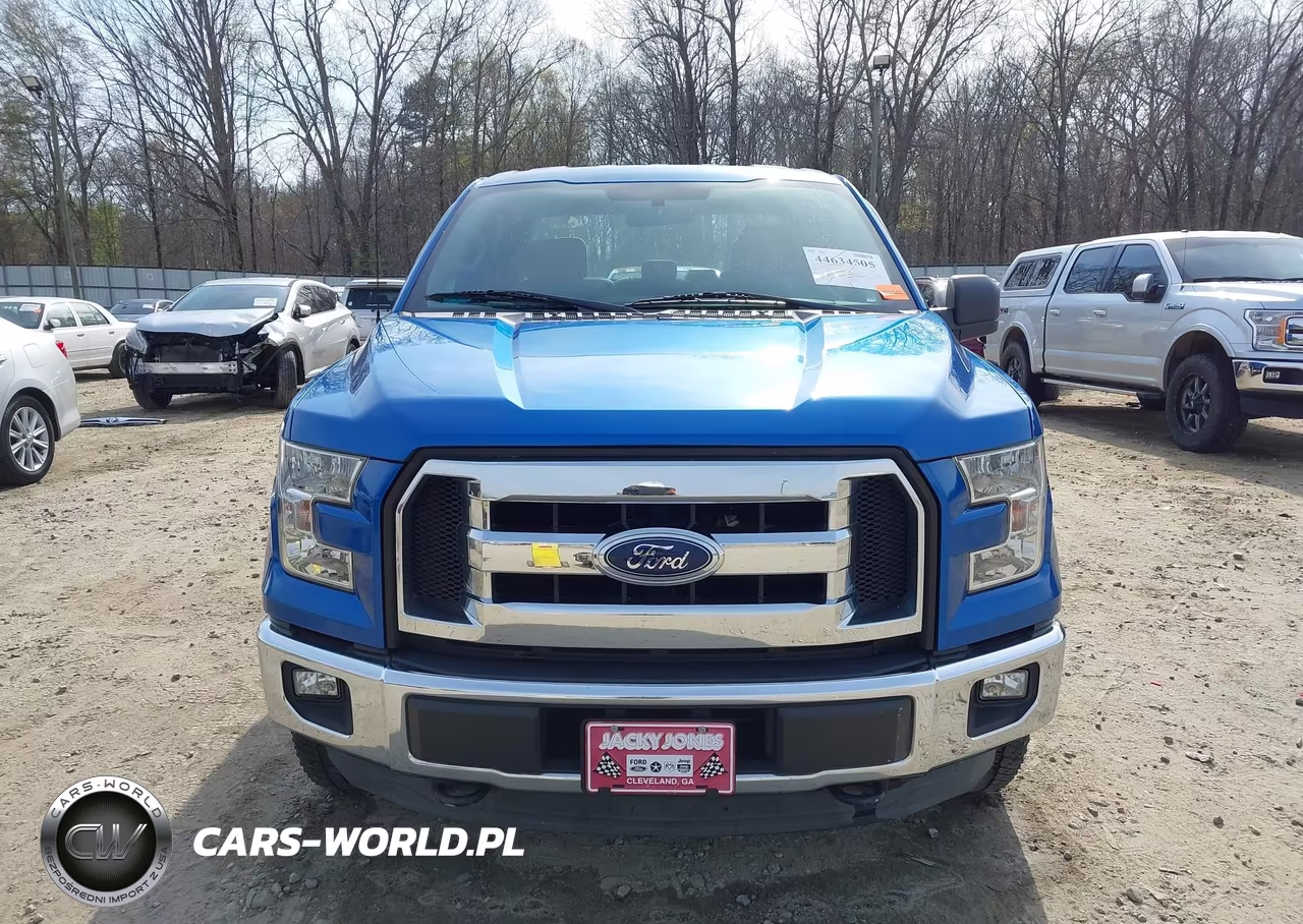 2015 Ford F-150 Xl VIN:1FTEX1EPXFFB05728 - 13