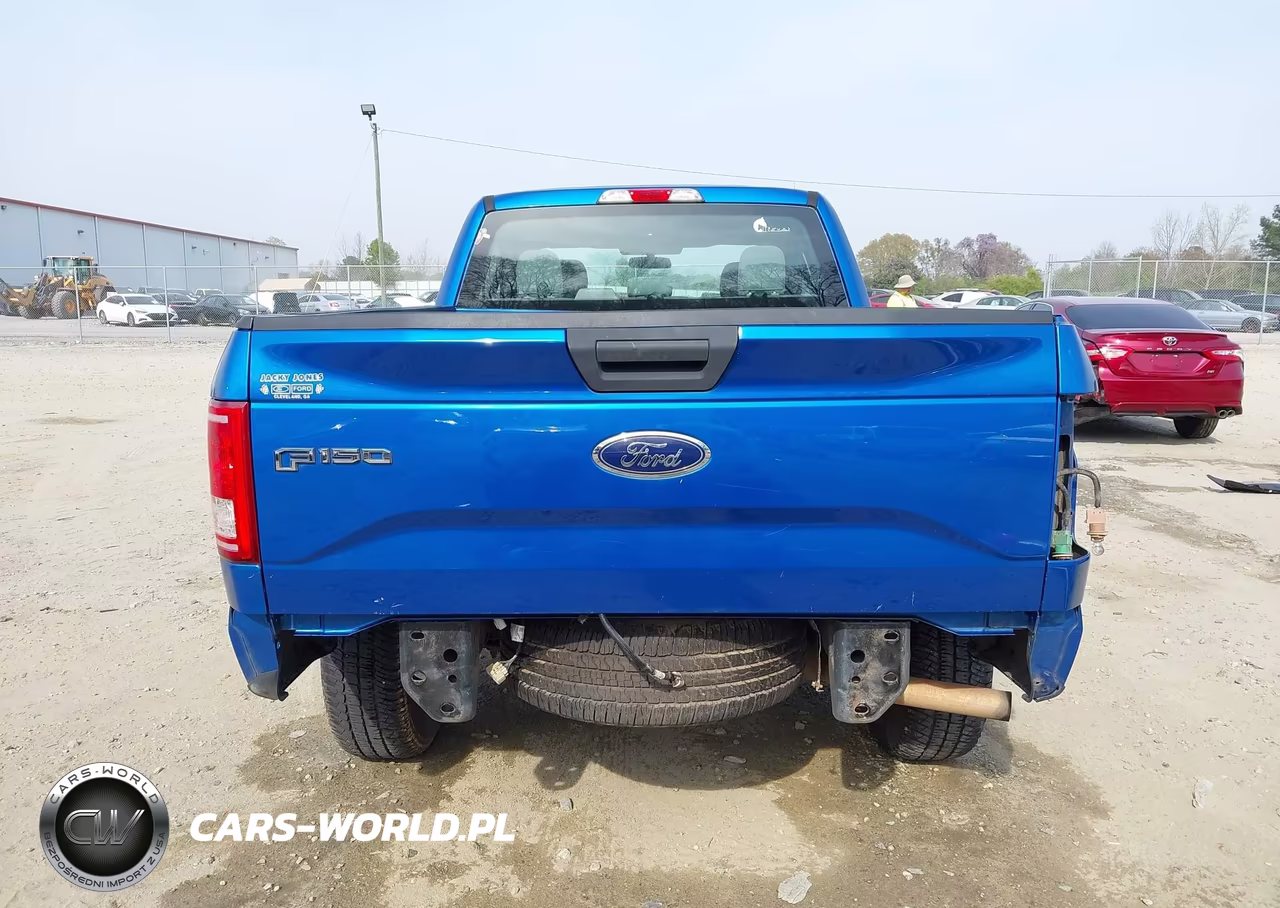 2015 Ford F-150 Xl VIN:1FTEX1EPXFFB05728 - 17