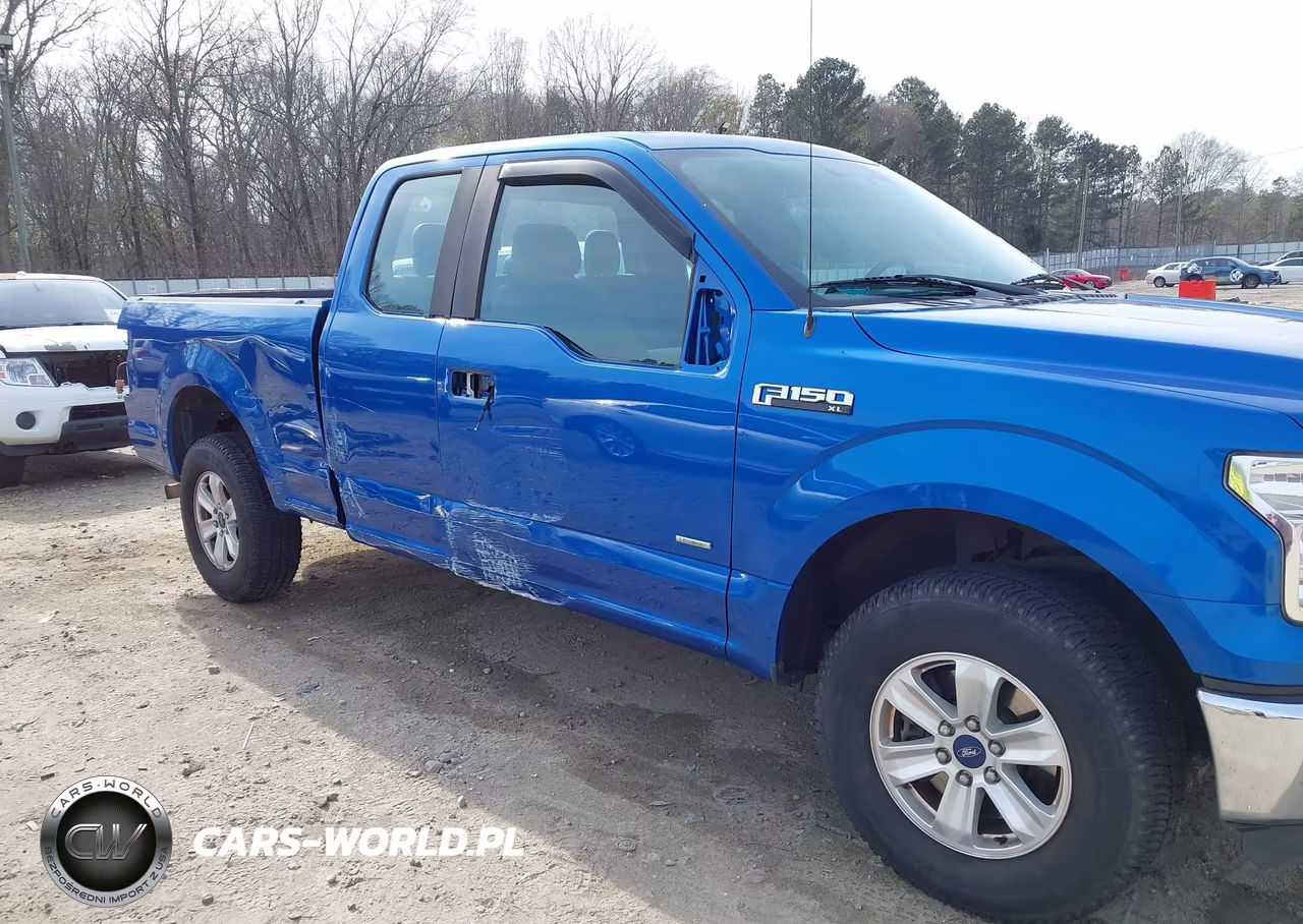 2015 Ford F-150 Xl VIN:1FTEX1EPXFFB05728 - 6