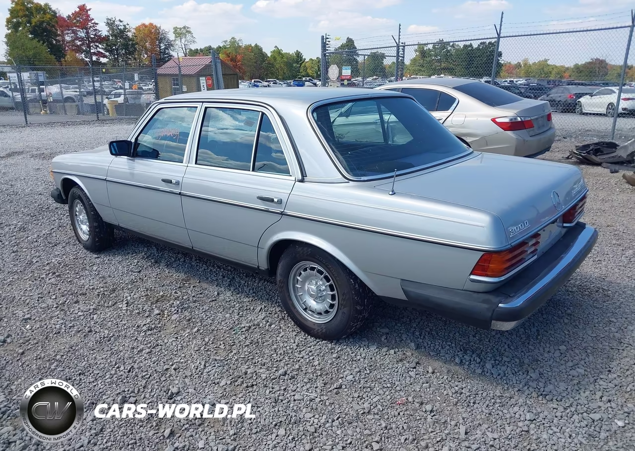 1983 Mercedes-Benz 300 Dt VIN:WDBAB33A9DB030157 - 3