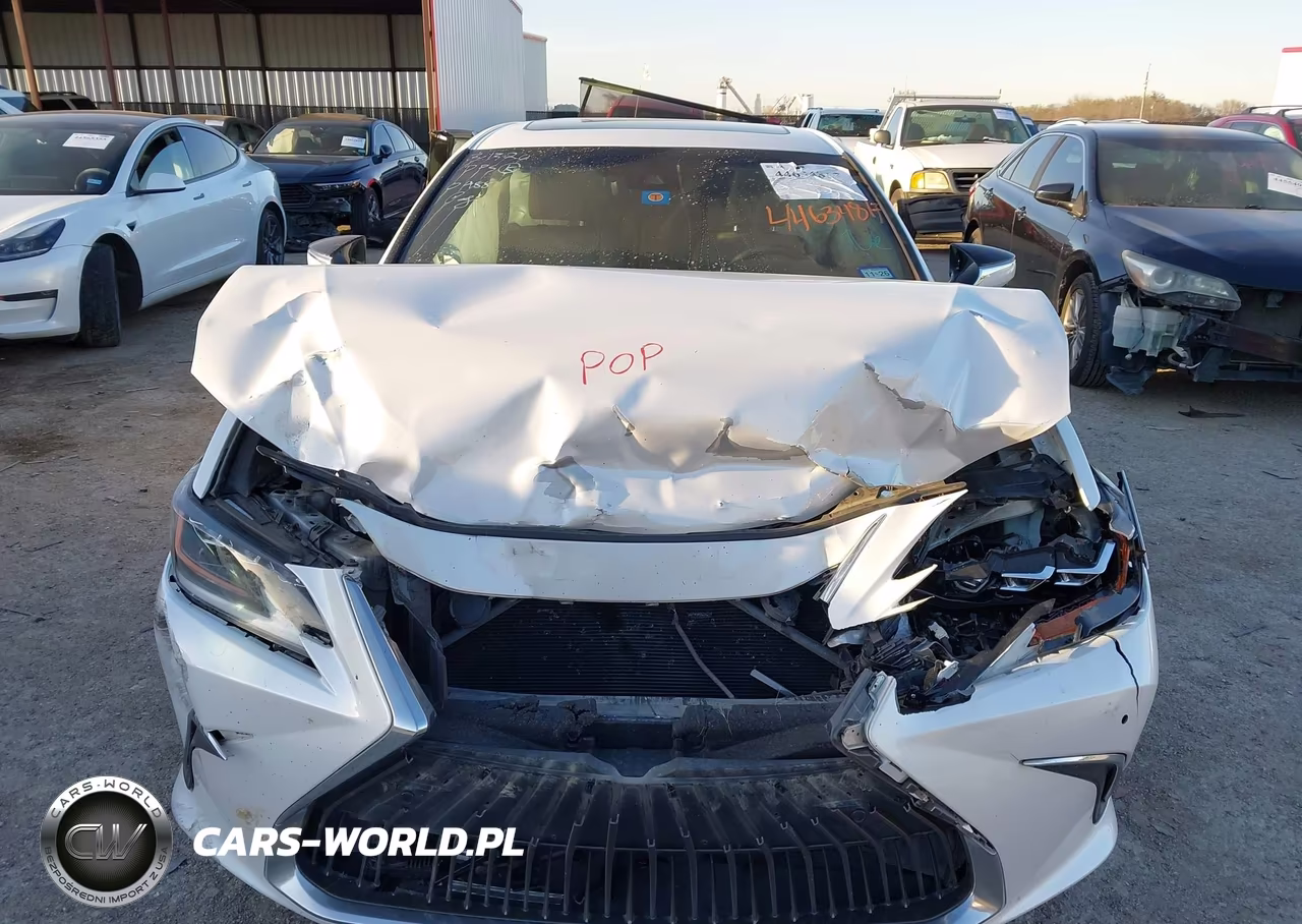 2019 Lexus Es 350 Luxury VIN:58ABZ1B12KU010488 - 11