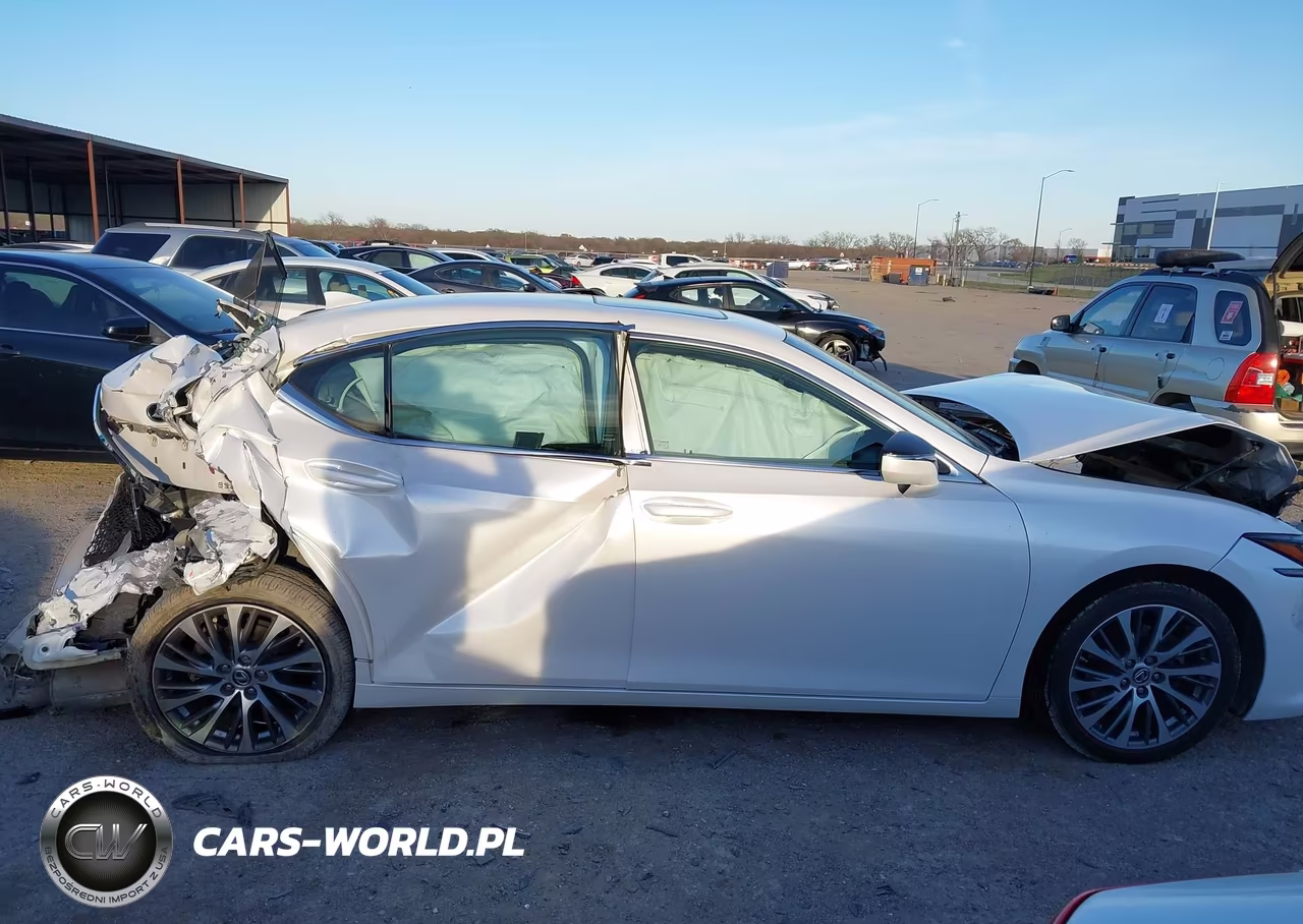 2019 Lexus Es 350 Luxury VIN:58ABZ1B12KU010488 - 12