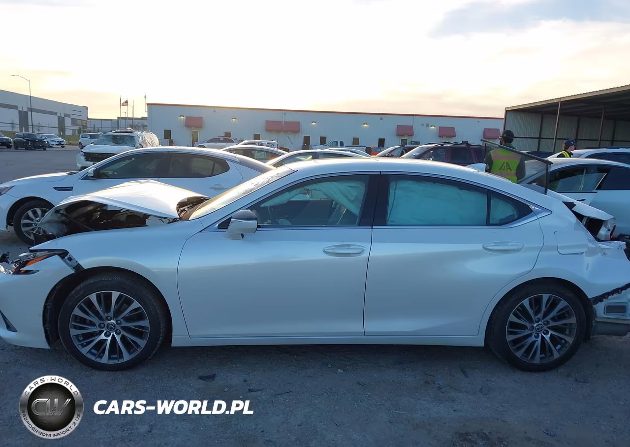 2019 Lexus Es 350 Luxury VIN:58ABZ1B12KU010488 - 13