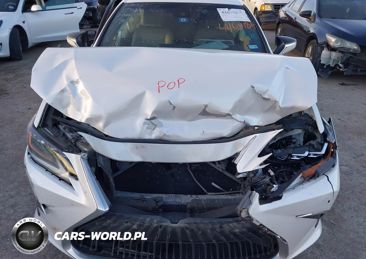 2019 Lexus Es 350 Luxury VIN:58ABZ1B12KU010488 - 6