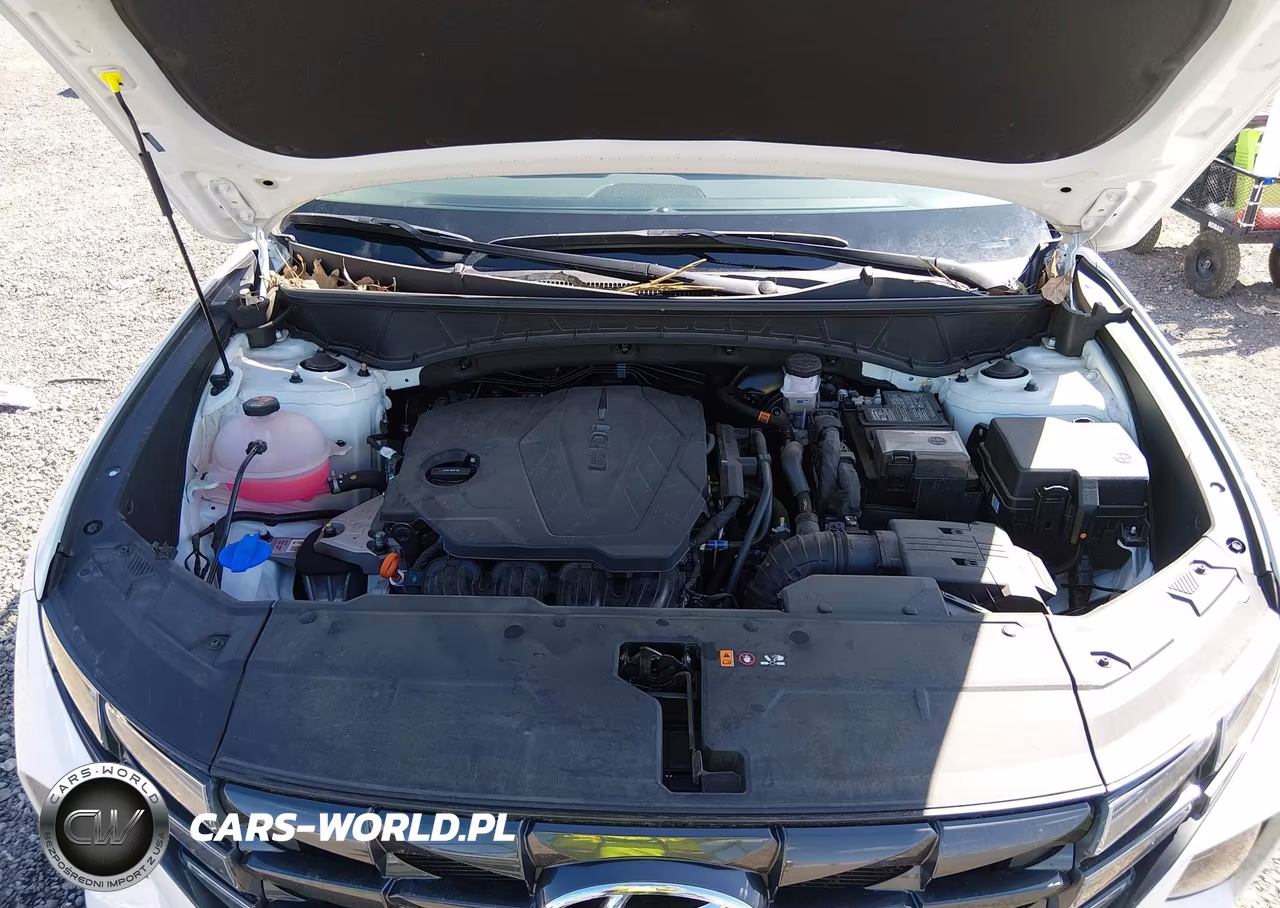 2024 Hyundai Tucson Sel VIN:5NMJF3DE1RH434337 - 10