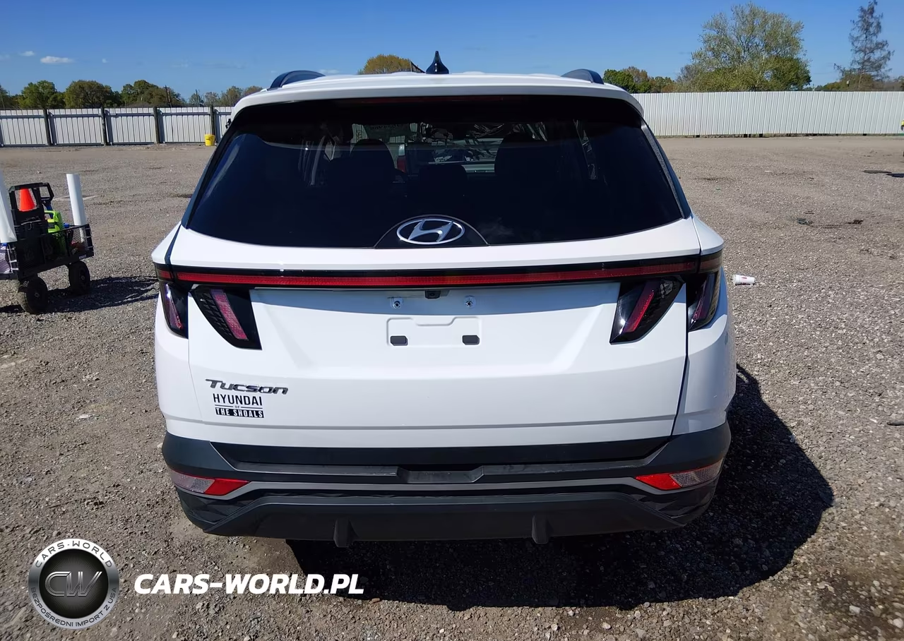 2024 Hyundai Tucson Sel VIN:5NMJF3DE1RH434337 - 17