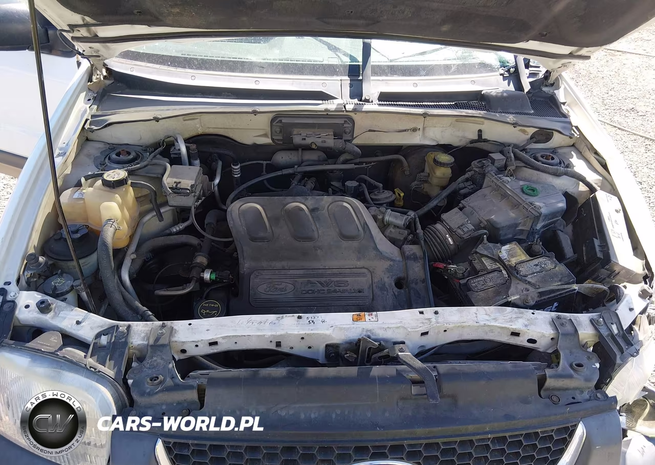 2004 Ford Escape Xlt VIN:1FMYU03104DA06998 - 10