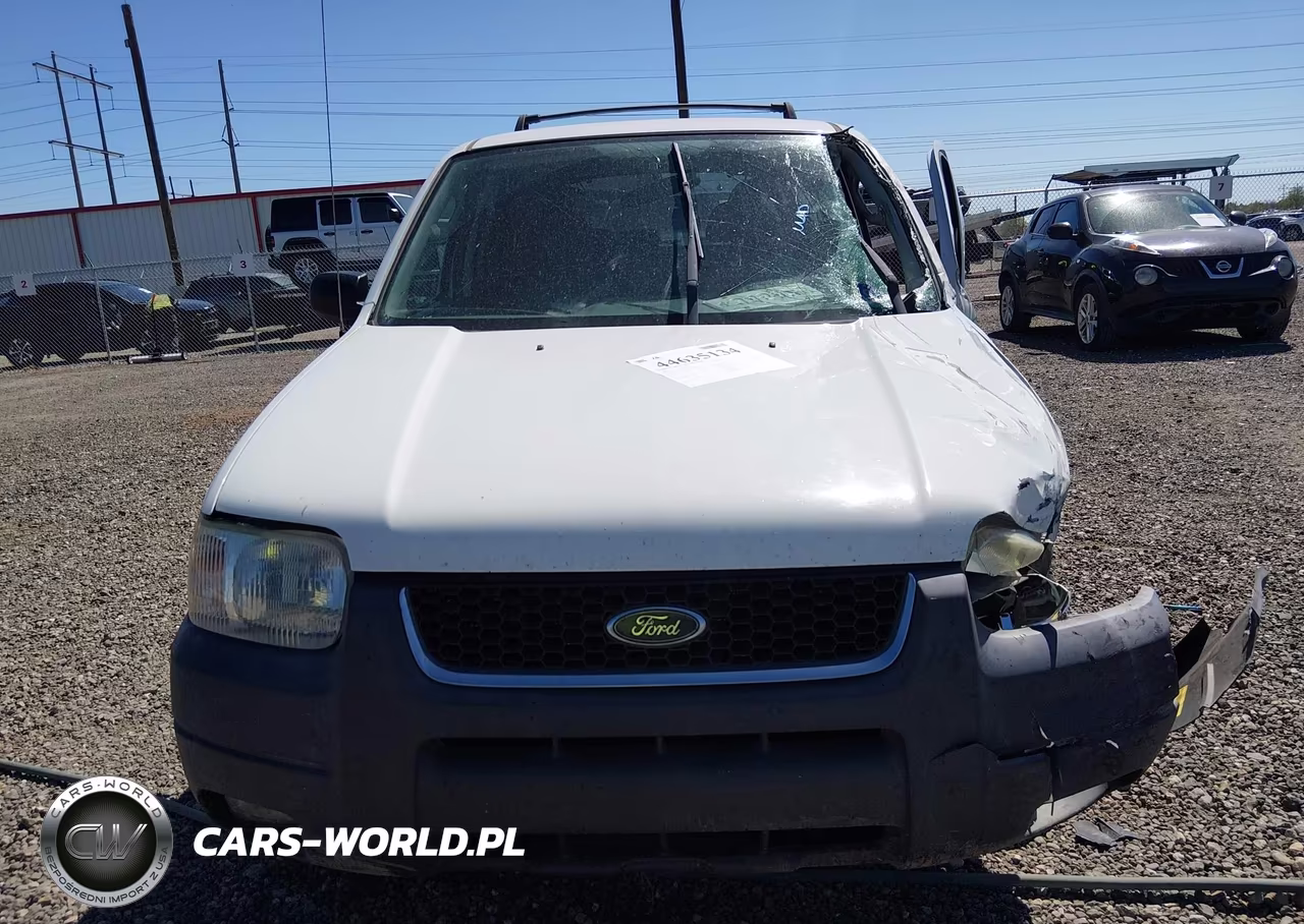 2004 Ford Escape Xlt VIN:1FMYU03104DA06998 - 12