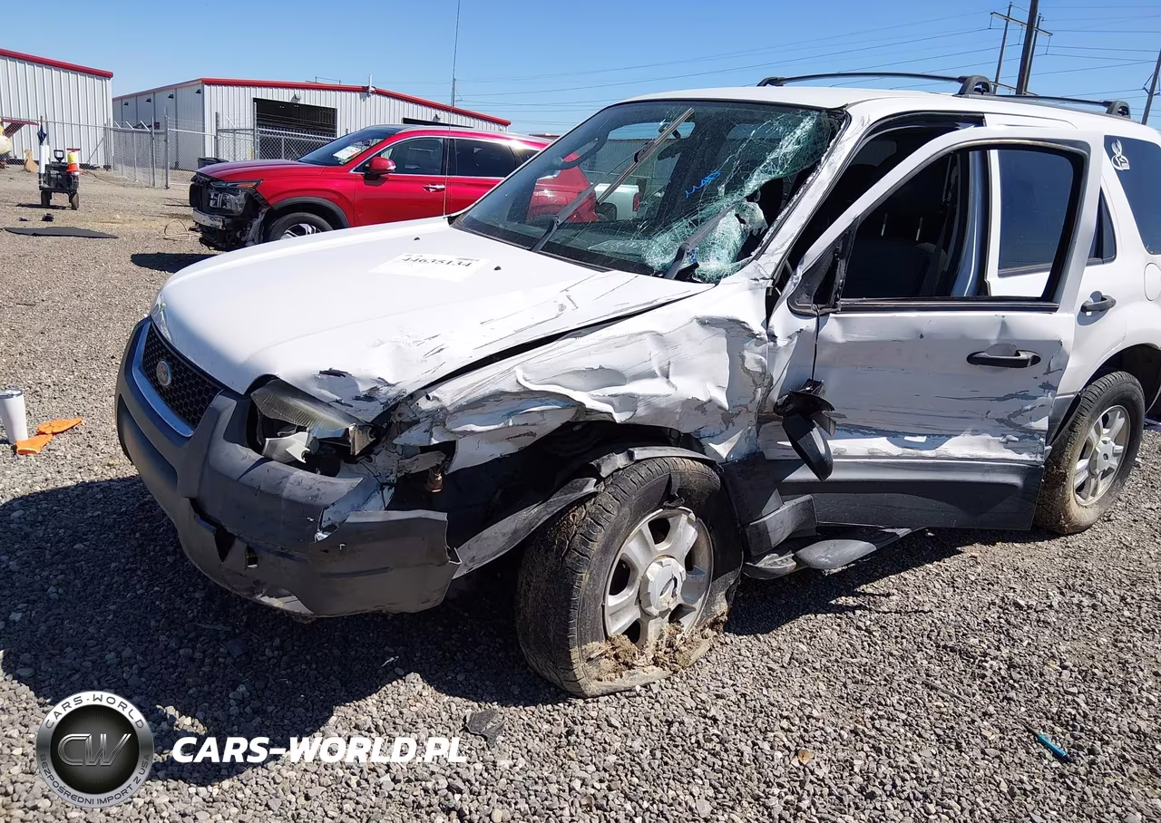2004 Ford Escape Xlt VIN:1FMYU03104DA06998 - 6