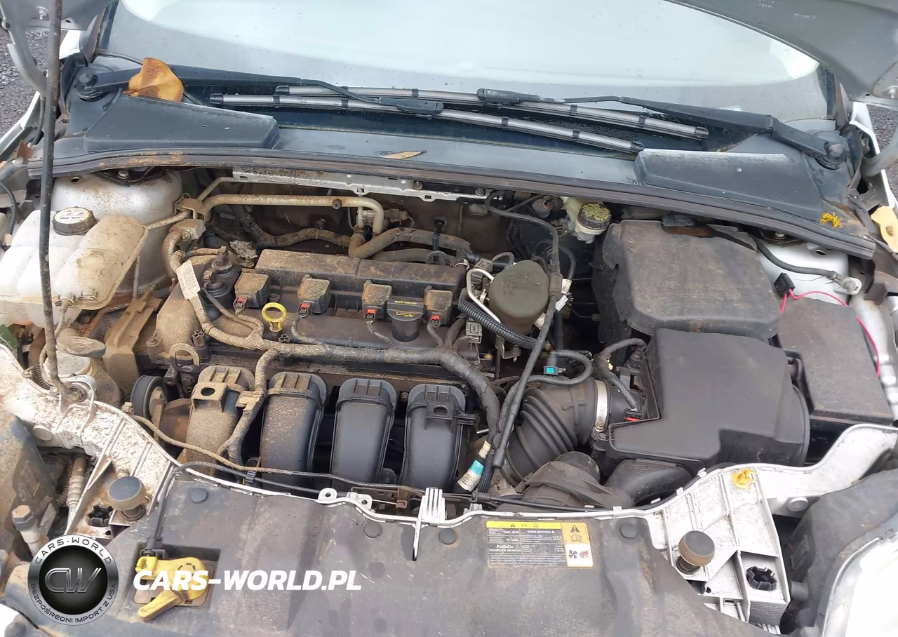 2013 Ford Focus S VIN:1FADP3E23DL382687 - 10