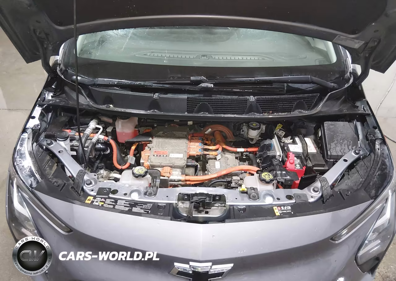 2023 Chevrolet Bolt Ev Fwd 1Lt VIN:1G1FW6S0XP4123700 - 10