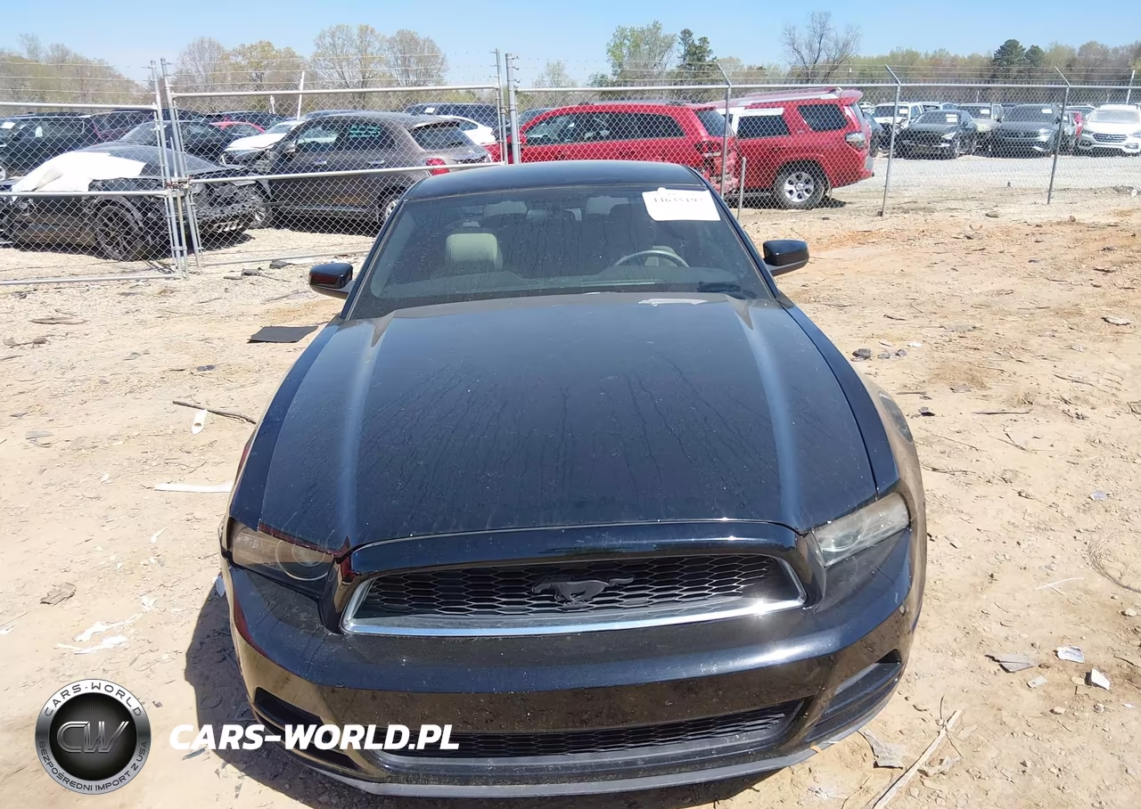 2014 Ford Mustang V6 VIN:1ZVBP8AM5E5324637 - 12