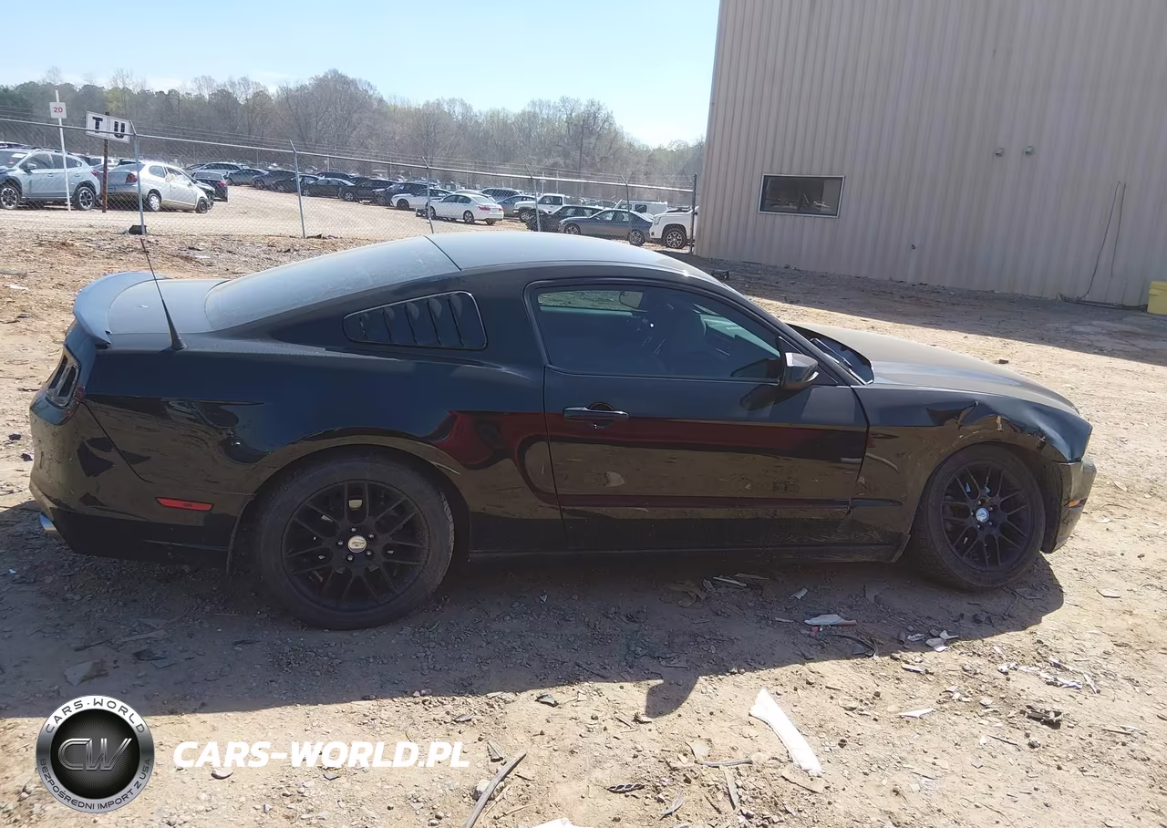 2014 Ford Mustang V6 VIN:1ZVBP8AM5E5324637 - 13