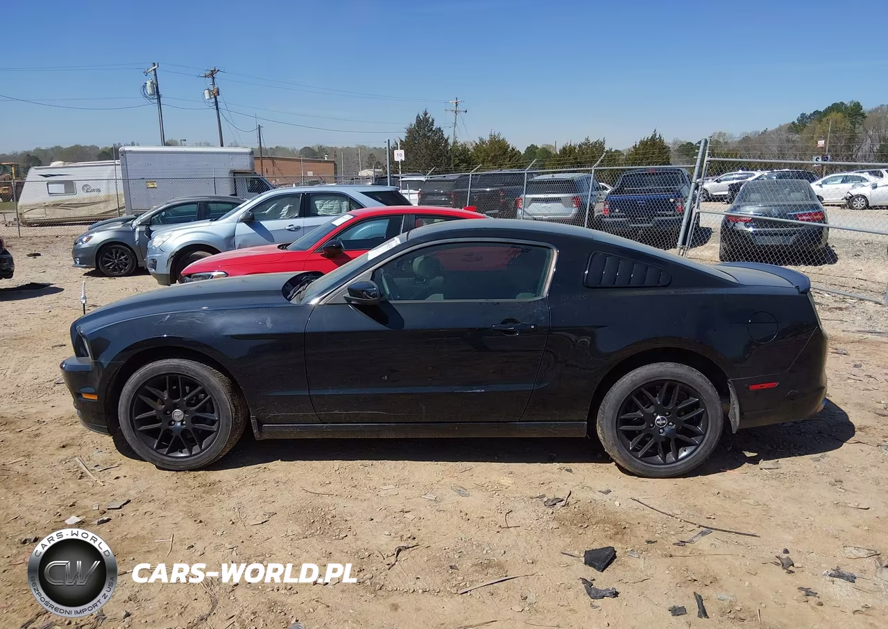 2014 Ford Mustang V6 VIN:1ZVBP8AM5E5324637 - 14