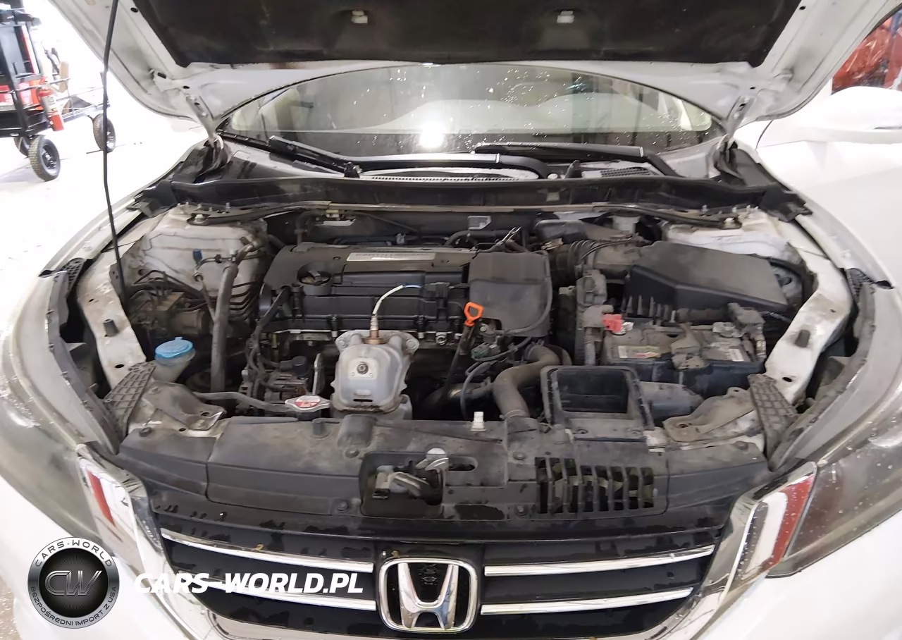 2014 Honda Accord Ex-L VIN:1HGCR2F86EA292879 - 10