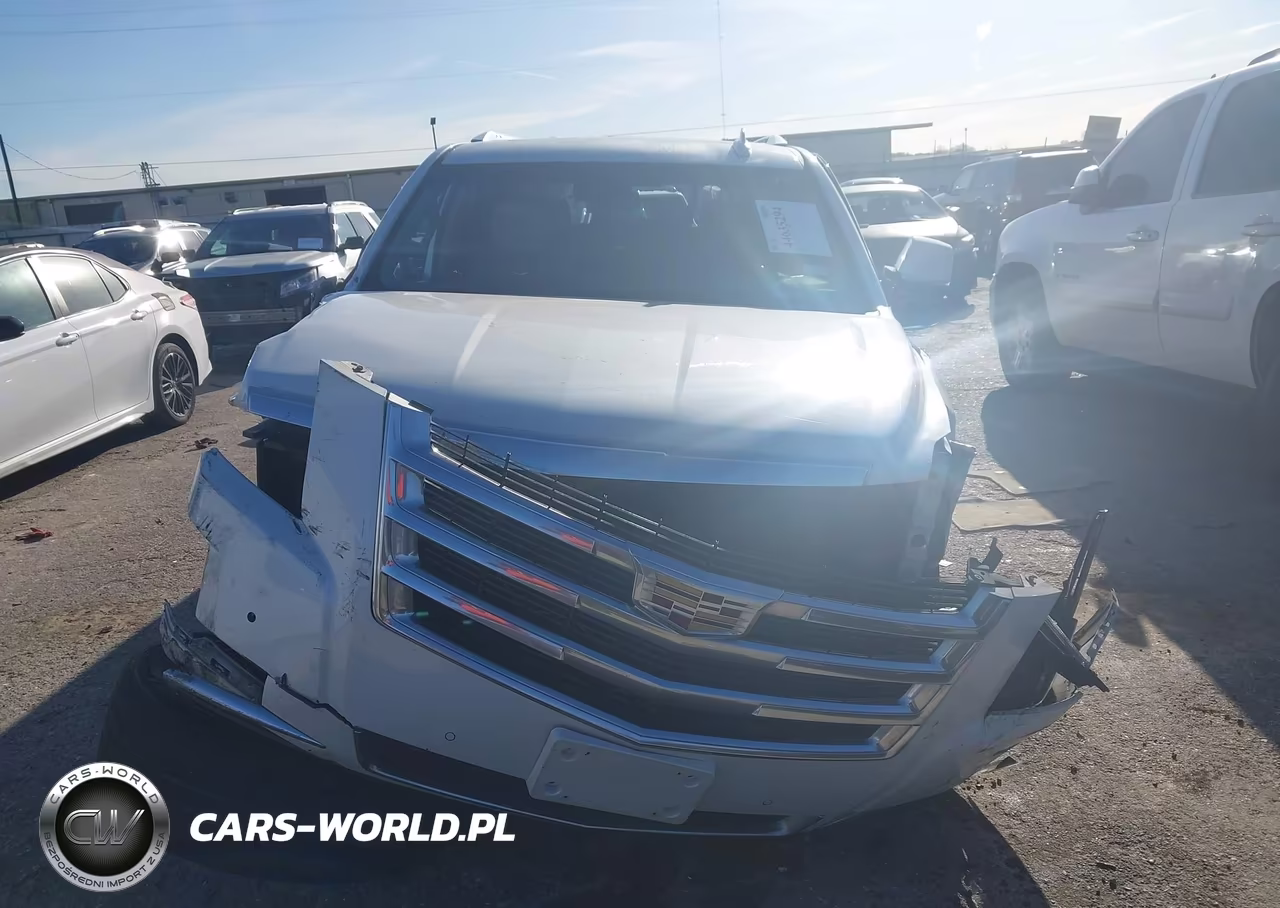 2019 Cadillac Escalade Esv Luxury VIN:1GYS3HKJ0KR406647 - 11