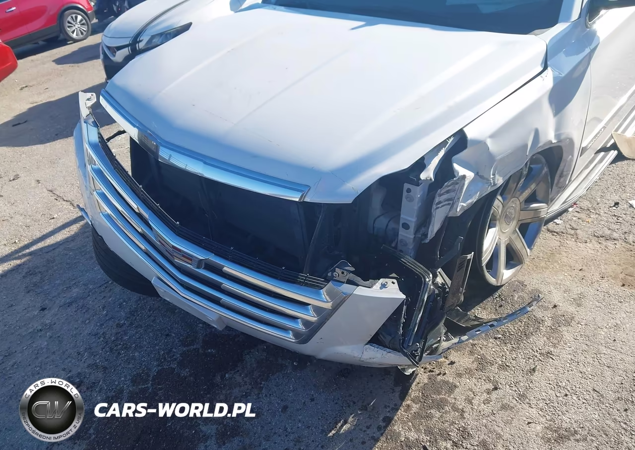 2019 Cadillac Escalade Esv Luxury VIN:1GYS3HKJ0KR406647 - 6