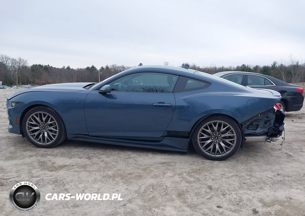 2025 Ford Mustang Ecoboost Premium Fastback VIN:1FA6P8TH7S5110156 - 13