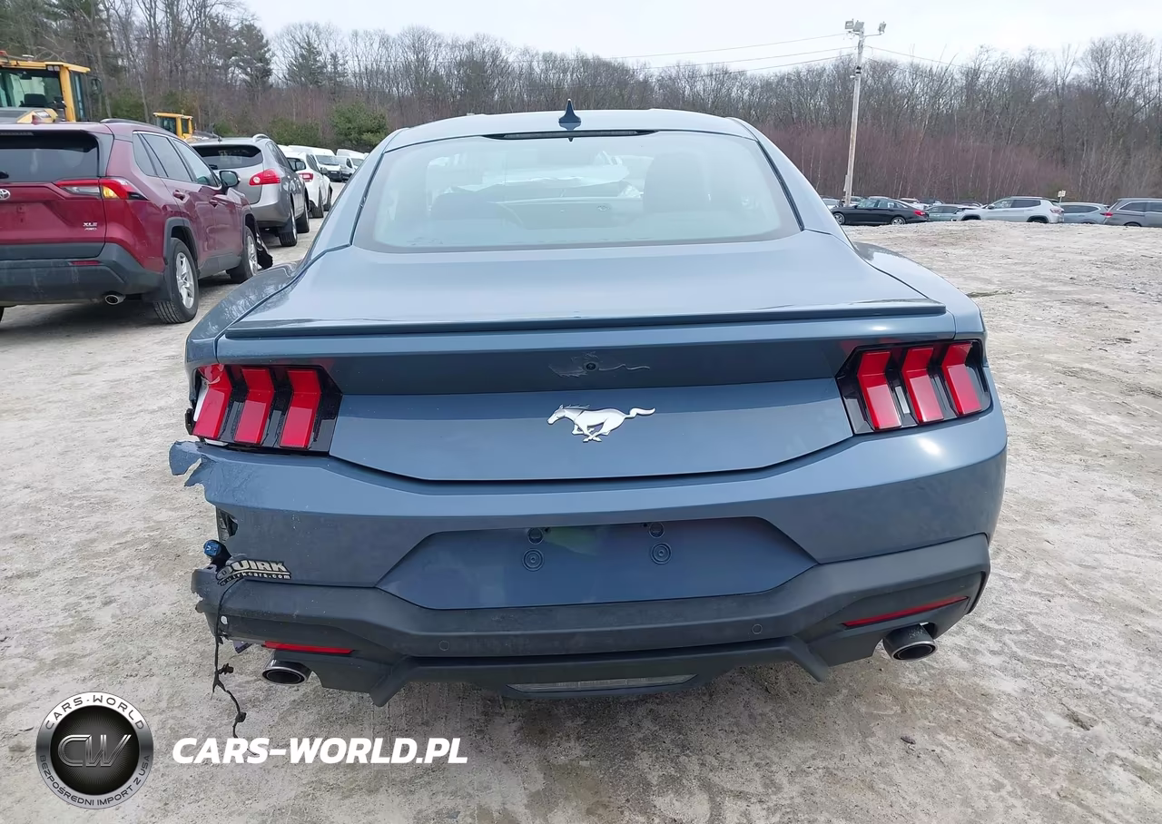 2025 Ford Mustang Ecoboost Premium Fastback VIN:1FA6P8TH7S5110156 - 15