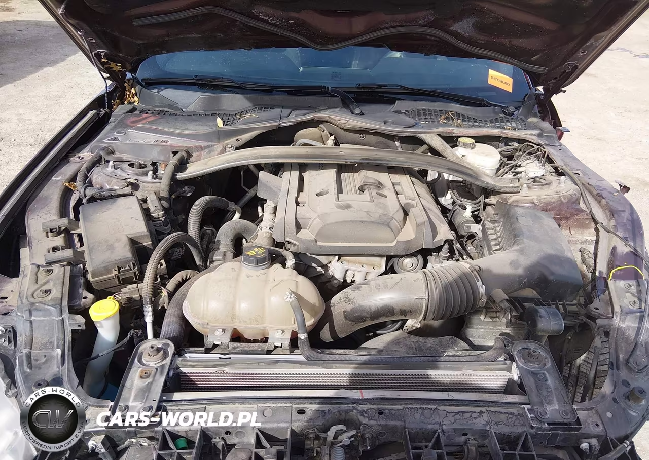 2018 Ford Mustang Ecoboost VIN:1FA6P8THXJ5184511 - 10